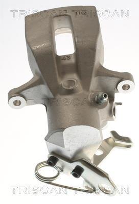 Pinza de freno Triscan A/S ref. 8175 29247