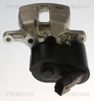 Pinza de freno Triscan A/S ref. 8175 29249