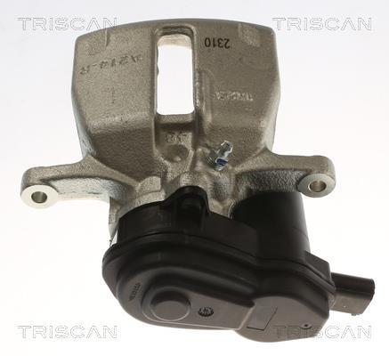 Pinça de travão Triscan A/S ref. 8175 29256