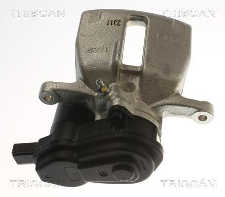 Étrier de frein Triscan A/S ref. 8175 29257