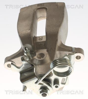 Pinza de freno Triscan A/S ref. 8175 29262