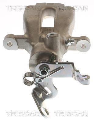 Pinza de freno Triscan A/S ref. 8175 29266