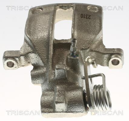 Pinza de freno Triscan A/S ref. 8175 29269