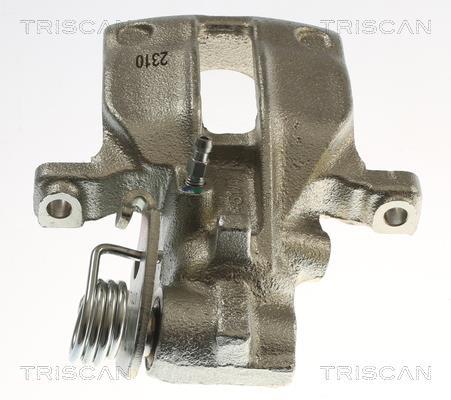 Étrier de frein Triscan A/S ref. 8175 29270