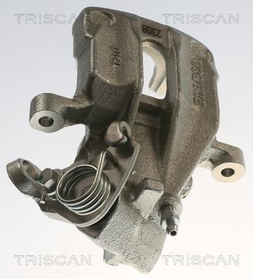 Pinza de freno Triscan A/S ref. 8175 29271