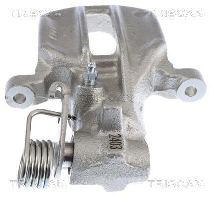 Pinza de freno Triscan A/S ref. 8175 29276