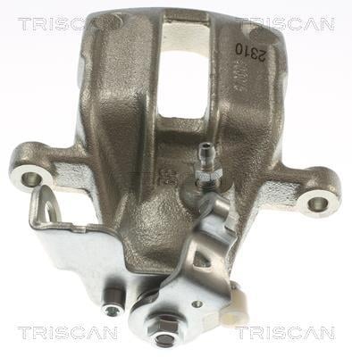 Pinza de freno Triscan A/S ref. 8175 29279
