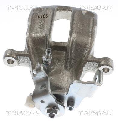 Pinza de freno Triscan A/S ref. 8175 29280