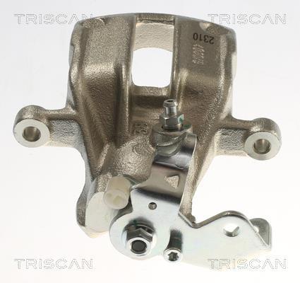 Pinza de freno Triscan A/S ref. 8175 29281