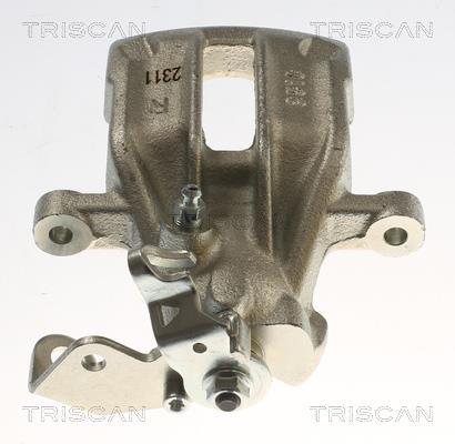 Pinza de freno Triscan A/S ref. 8175 29282