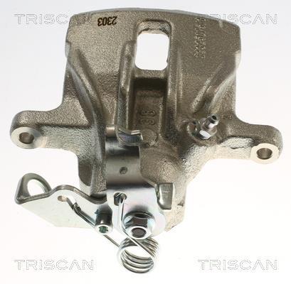 Pinza de freno Triscan A/S ref. 8175 29289