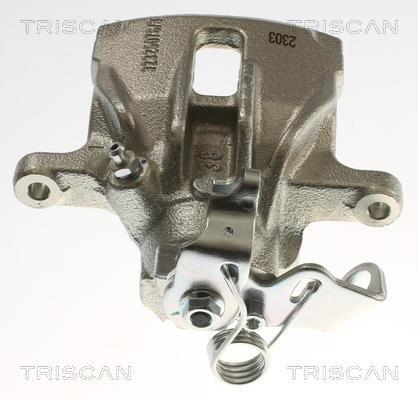 Pinza de freno Triscan A/S ref. 8175 29290