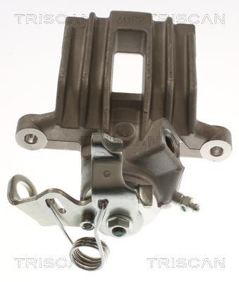 Pinza de freno Triscan A/S ref. 8175 29297