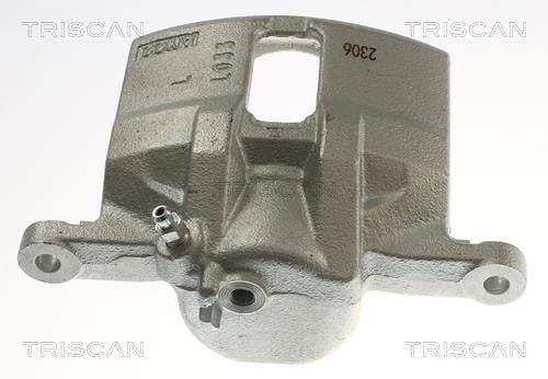 Pinza de freno Triscan A/S ref. 8175 40105