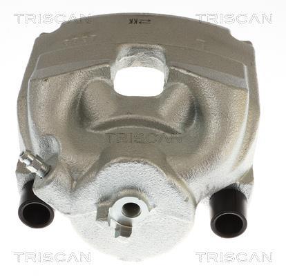 Pinza de freno Triscan A/S ref. 8175 40113