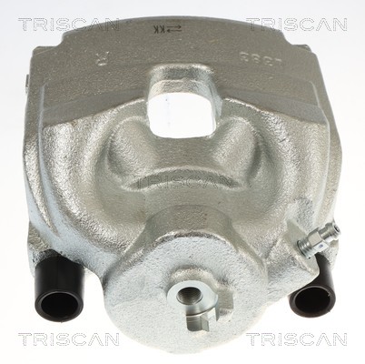 Pinza de freno Triscan A/S ref. 8175 40114