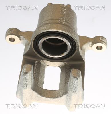 Pinza de freno Triscan A/S ref. 8175 40204