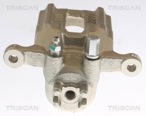 Pinza de freno Triscan A/S ref. 8175 40204