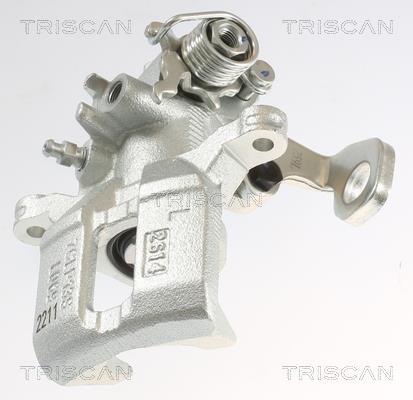 Pinza de freno Triscan A/S ref. 8175 40211