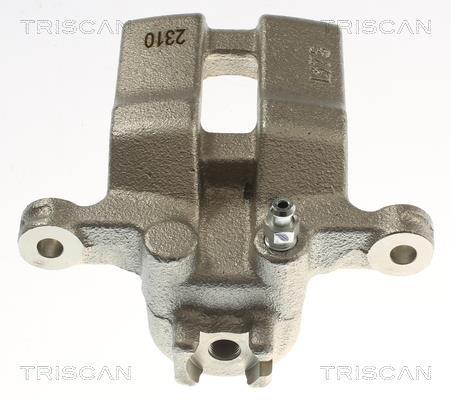 Pinza de freno Triscan A/S ref. 8175 40219