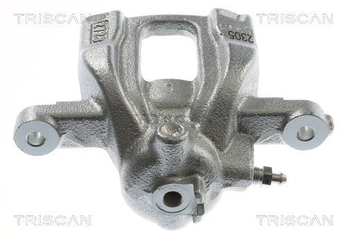 Pinza de freno Triscan A/S ref. 8175 40225