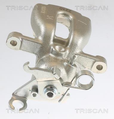 Pinza de freno Triscan A/S ref. 8175 42203