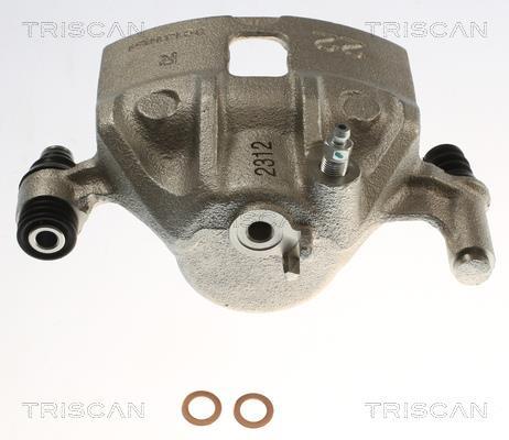 Pinza de freno Triscan A/S ref. 8175 43110