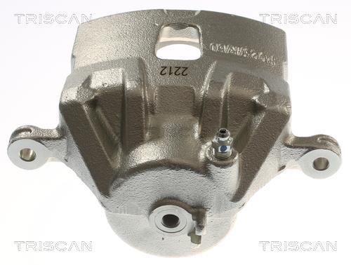 Pinza de freno Triscan A/S ref. 8175 43116