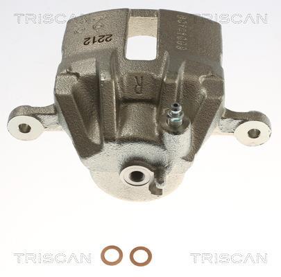 Étrier de frein Triscan A/S ref. 8175 43120