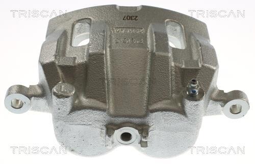 Pinza de freno Triscan A/S ref. 8175 43121