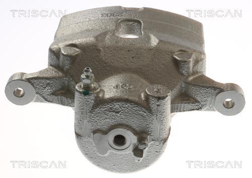 Pinza de freno Triscan A/S ref. 8175 43130