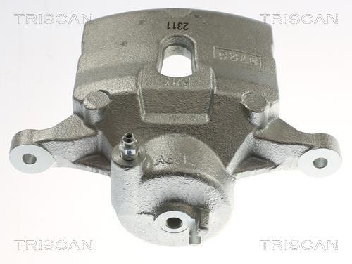 Pinza de freno Triscan A/S ref. 8175 43133
