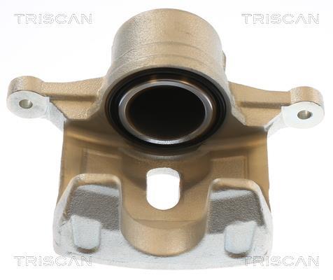 Étrier de frein Triscan A/S ref. 8175 43134