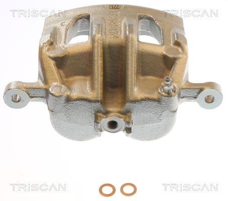 Pinza de freno Triscan A/S ref. 8175 43137