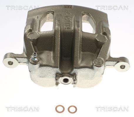 Pinza de freno Triscan A/S ref. 8175 43138
