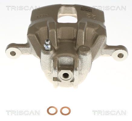 Pinza de freno Triscan A/S ref. 8175 43143