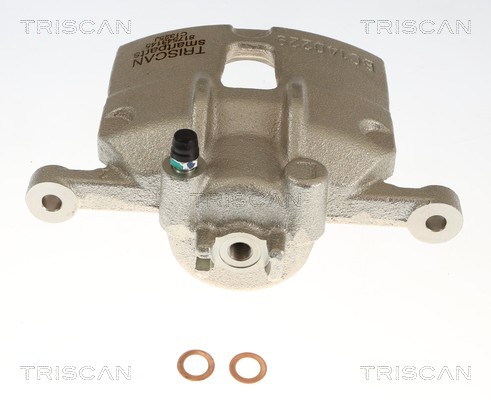 Étrier de frein Triscan A/S 8175 43145