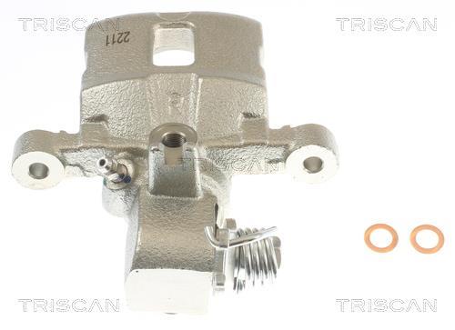 Pinza de freno Triscan A/S ref. 8175 43202