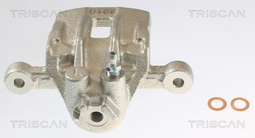 Étrier de frein Triscan A/S ref. 8175 43205