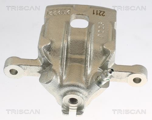 Pinza de freno Triscan A/S ref. 8175 43207
