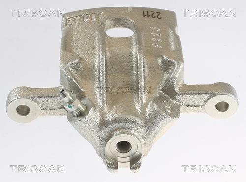 Pinza de freno Triscan A/S ref. 8175 43208