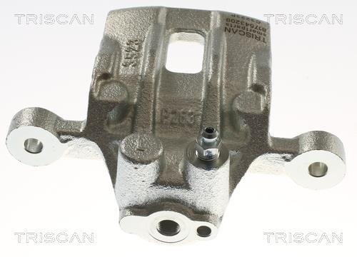 Pinza de freno Triscan A/S ref. 8175 43209