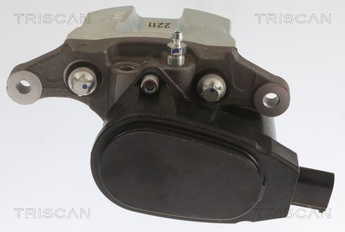 Pinza de freno Triscan A/S ref. 8175 43213