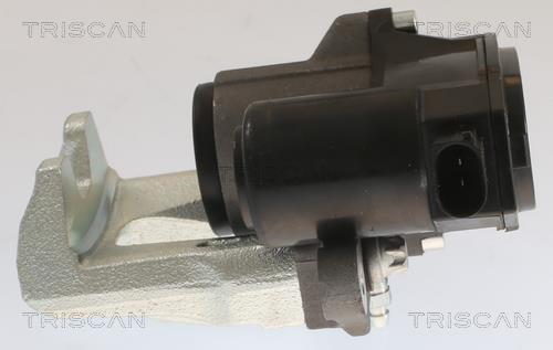 Pinza de freno Triscan A/S ref. 8175 43213