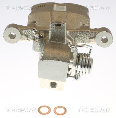 Étrier de frein Triscan A/S ref. 8175 43216