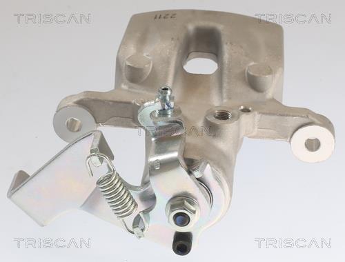 Étrier de frein Triscan A/S ref. 8175 43220