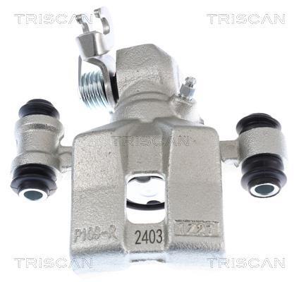 Pinza de freno Triscan A/S ref. 8175 43228