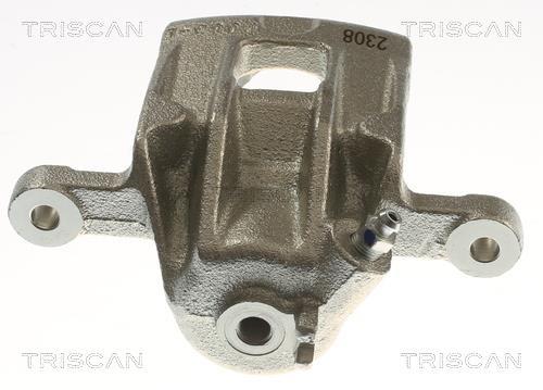 Pinza de freno Triscan A/S ref. 8175 43230