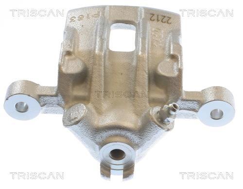 Pinza de freno Triscan A/S ref. 8175 43233