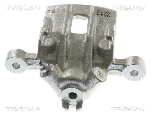 Pinza de freno Triscan A/S ref. 8175 43234
